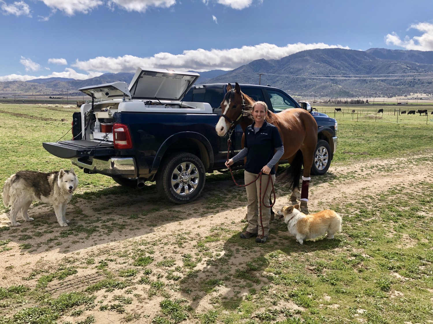 Stephanie Darrow outside with horse and 2 dogs beside a truck